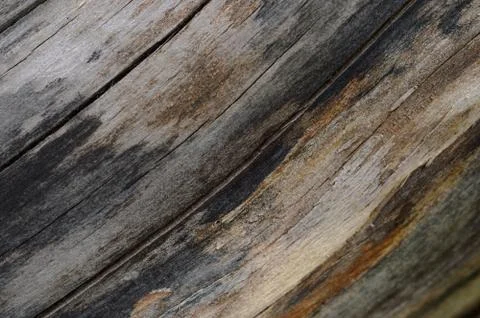 Abstract background of old cracked tree trunk. Closeup topview for artworks. Stock Photos