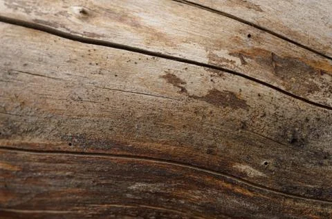 Abstract background of old cracked tree trunk. Closeup topview for artworks. Stock Photos