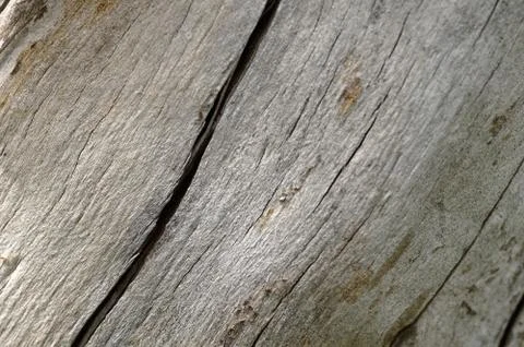 Abstract background of old cracked tree trunk. Closeup topview for artworks. Stock Photos