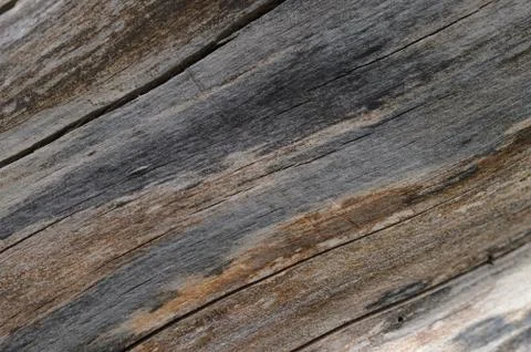 Abstract background of old cracked tree trunk. Closeup topview. Foto stock