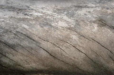 Abstract background of old cracked tree trunk. Closeup topview. Stock Photos