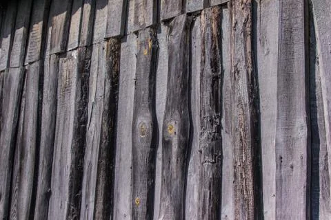 Abstract background of old gray boards with a beautiful texture with knots Stock Photos