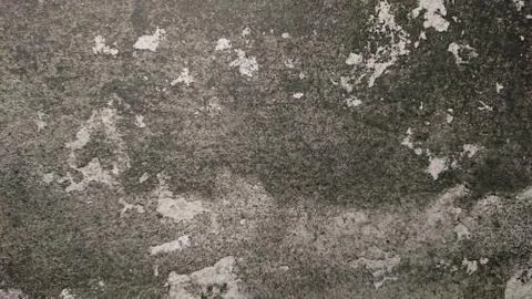 The abstract background of a old gray wall. Selective focus. Stock Photos