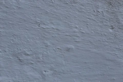 Abstract background of old plaster on the wall. 写真素材