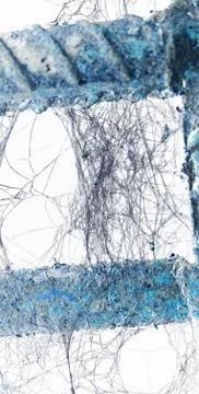 Abstract background old spider webs Stock Photos