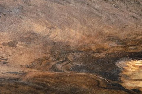 Abstract background of old tree trunk. Closeup topview for artworks. Stock Photos