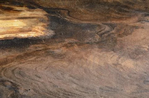 Abstract background of old tree trunk. Stock Photos