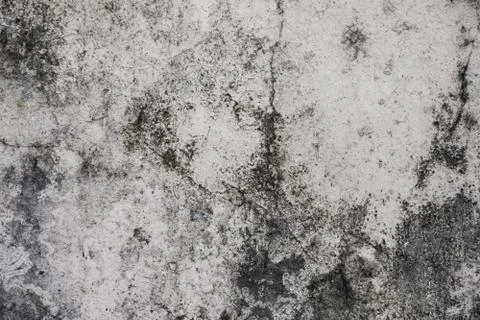 Abstract background of old wall for texture. Stock Photos