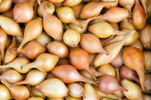 Abstract background: onions Stock Photos