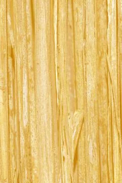 Abstract background or texture of bamboo canes in yellow Stock Photos