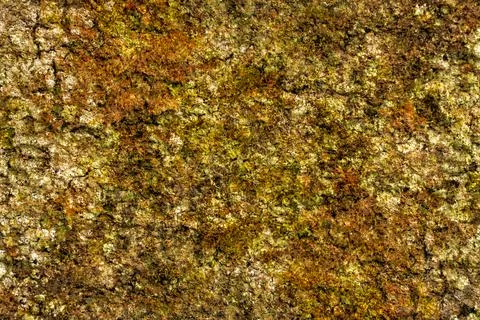 Abstract background or texture of brown and green colors Stock Photos