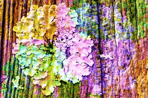 Abstract background or texture of many colors Stock Illustration