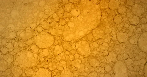 Abstract background of orange liquid floating on a moving surface. Stock Footage 146173820