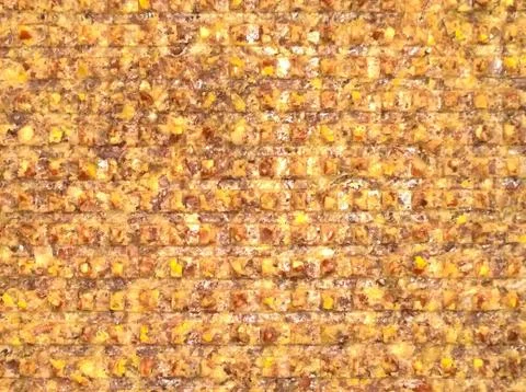 Abstract background of orange tones Stock Photos