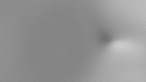 Abstract background with organic pattern and grain texture Stock Illustration