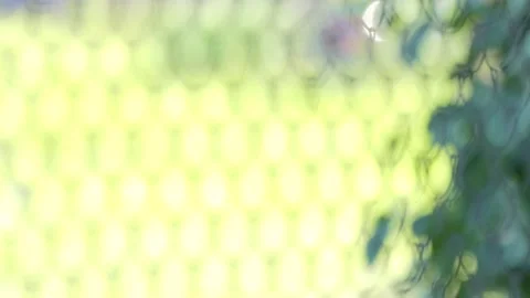 Abstract, the background is out of focus. Bright sunlight falls on a metal grid Vídeos de archivo 155886444