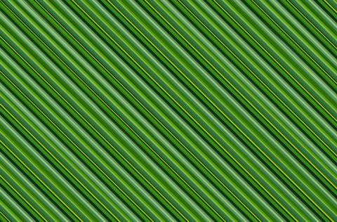 Abstract background, palm leaf effect, striped green eco pattern, row of diog Stock Illustration