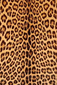 Abstract background pattern Brown spotted leopard skin background pattern.... Stock Photos