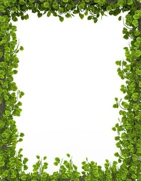 Abstract background pattern green leaf frame isolated on white background ... Stock Photos