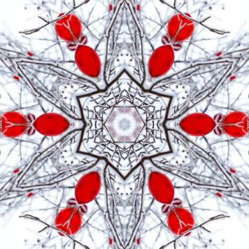 Abstract background of pattern of a kaleidoscope. white red background fractal Stock Photos