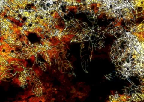 Abstract background pattern with linear leaf ornament and spotted multicolor Stock Illustration