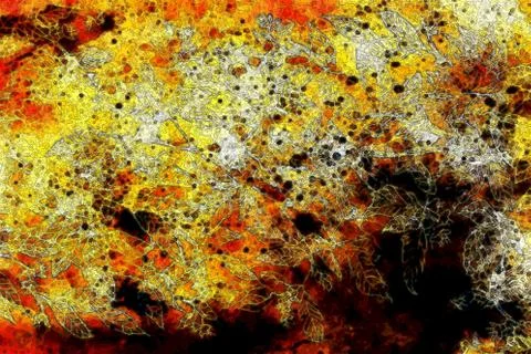 Abstract background pattern with linear leaf ornament and spotted multicolor Stock Illustration