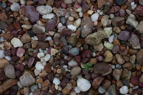 Abstract background with pebbles of various shapes. Stock Photos