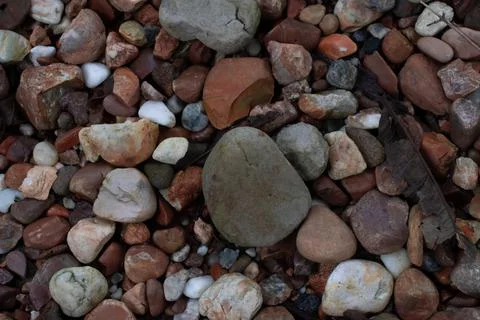 Abstract background with pebbles of various shapes. Stock Photos