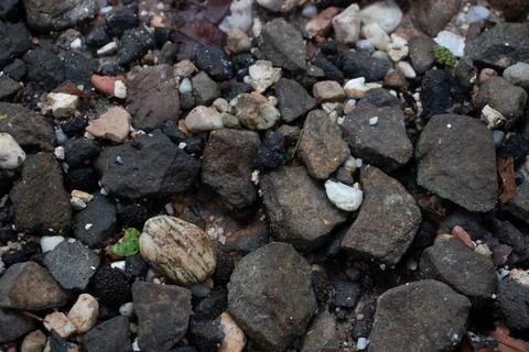 Abstract background with pebbles of various shapes. Stock Photos
