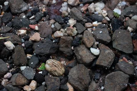 Abstract background with pebbles of various shapes. Stock Photos