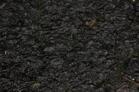 Abstract background with pebbles of various shapes. Stock Photos