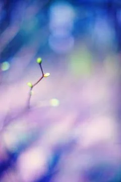 Abstract background Stock Photos