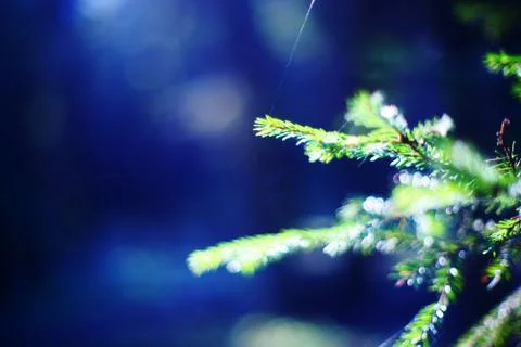 Abstract background Stock Photos