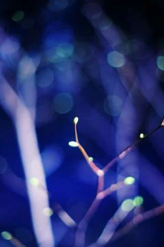 Abstract background Stock Photos