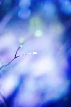 Abstract background Foto stock