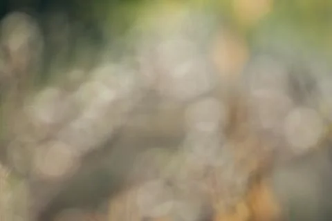 Abstract background Stock Photos