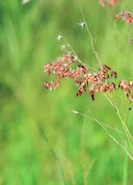 Abstract background Stock Photos