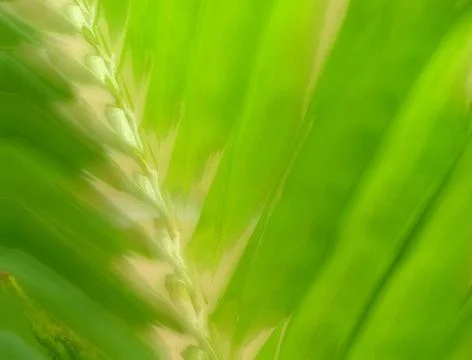 Abstract background Stock Photos