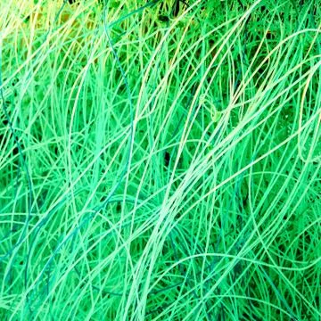 Abstract background Stock Photos