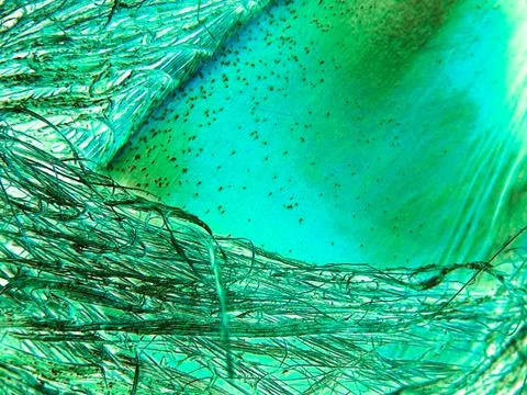 Abstract background Stock Photos