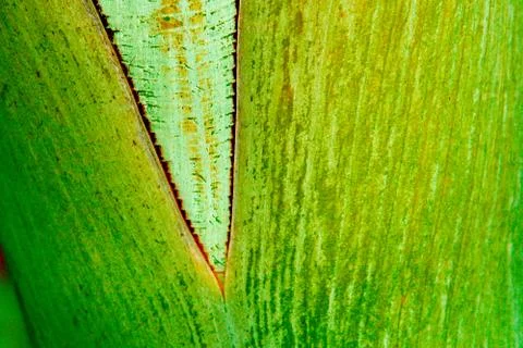 Abstract background Foto stock