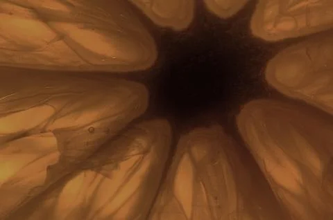 Abstract background Stock Photos