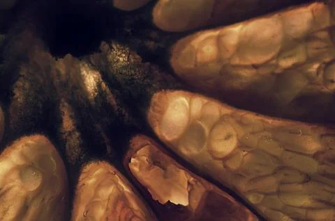 Abstract background Stock Photos