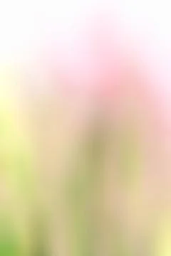 Abstract background Stock Photos