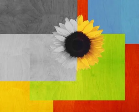 Abstract Background Stock Photos