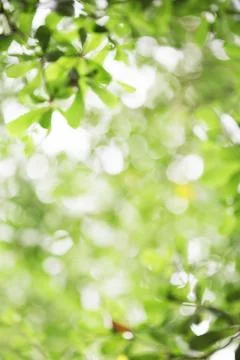 Abstract background Stock Photos