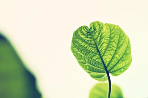 Abstract background Stock Photos