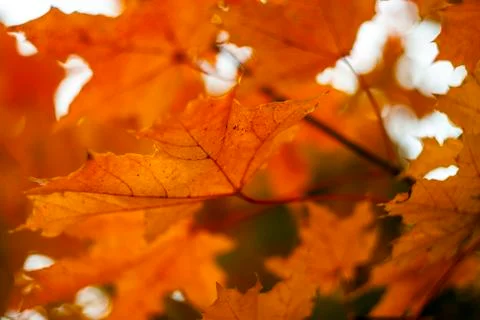 Abstract Background Stock Photos