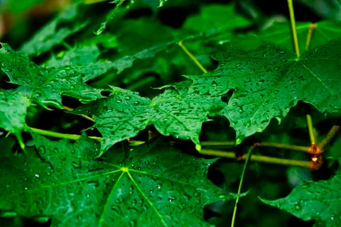 Abstract Background Stock Photos