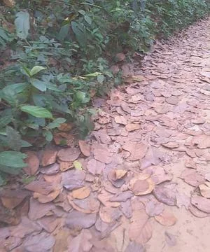 Abstract background Stock Photos